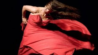 PINA - Own it on Digital